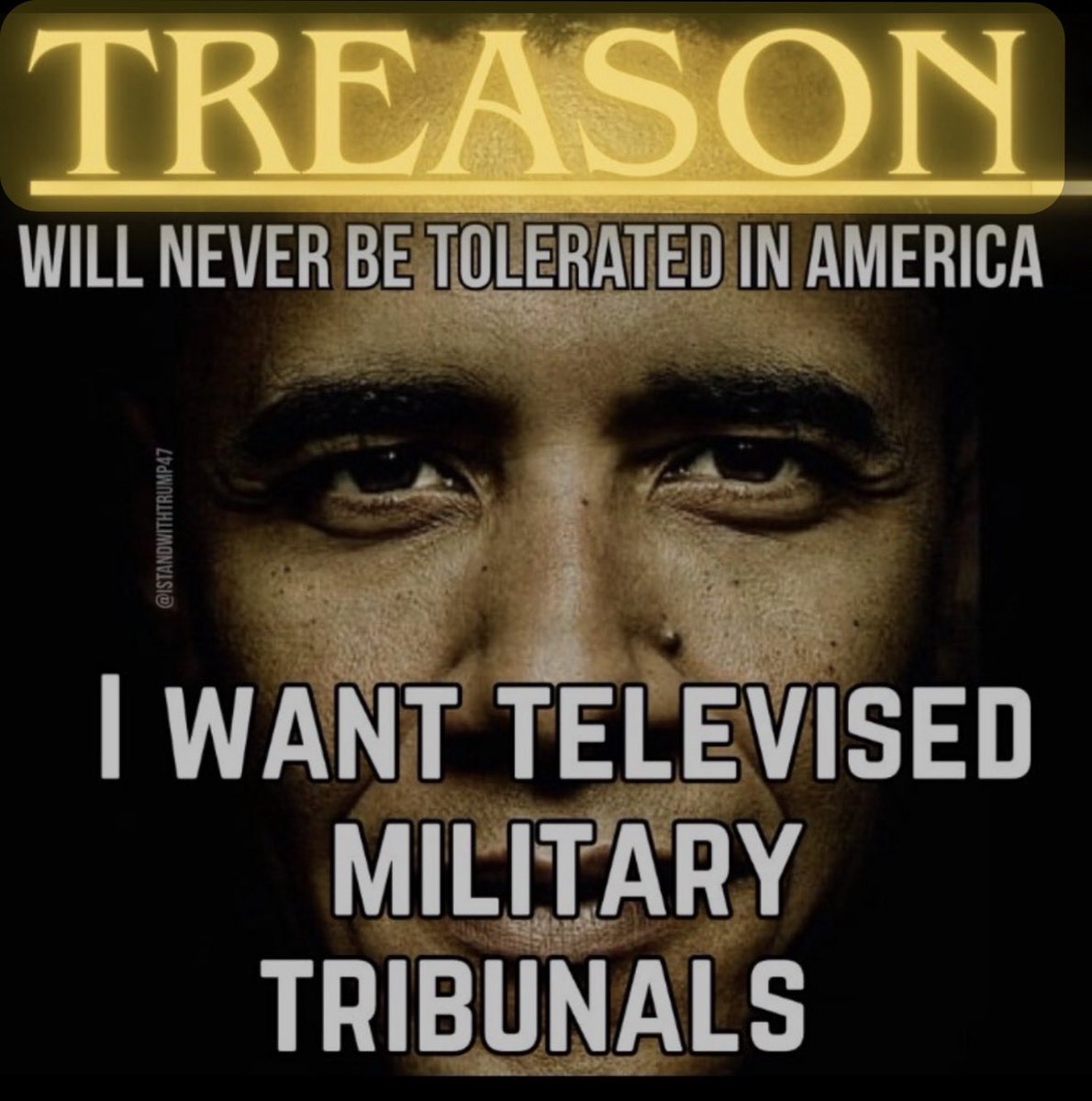 jjauthor's tweet photo. Arrest Obama! https://t.co/Vi8L9Z37zI