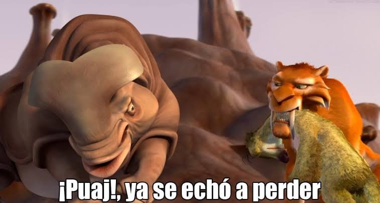 95Perales95's tweet photo. @Waifudebarrio https://t.co/3qZoCtPAyg
