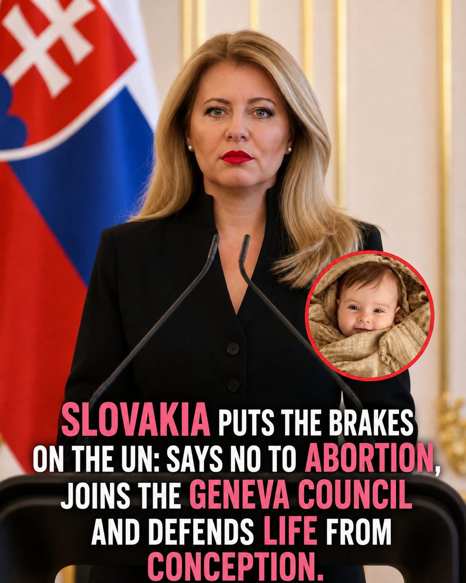 flaviotario's tweet photo. Slovakia is taking a clear position on abortion, asserting the protection of life from the moment of conception. The move reignites debate over national sovereignty, reproductive rights, and the role of international institutions. 🇸🇰🌍

#Slovakia #UN #Abortion #Politics #News https://t.co/JZ2yrnf7hF