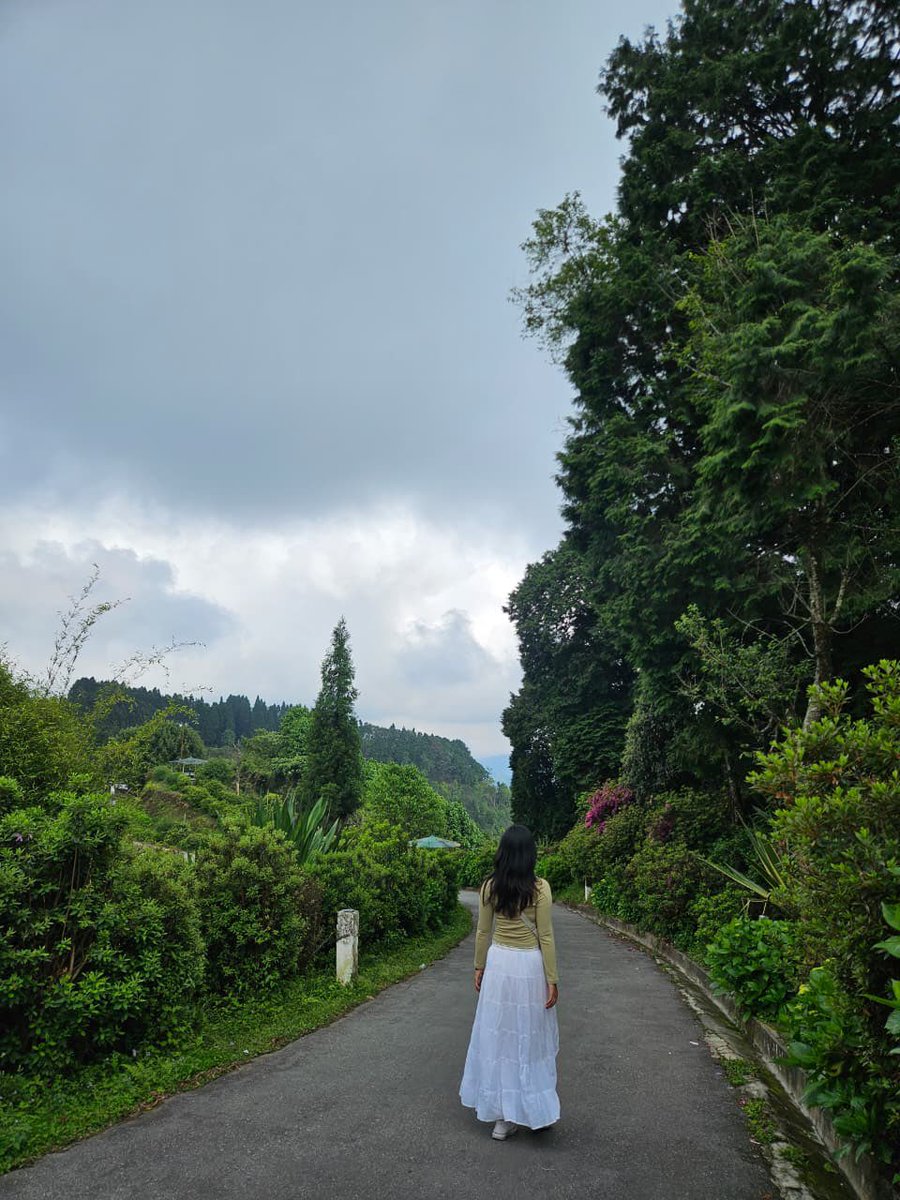 zoununga's tweet photo. Kalimpong is a beaut pt 1 https://t.co/Go35HDLuYs