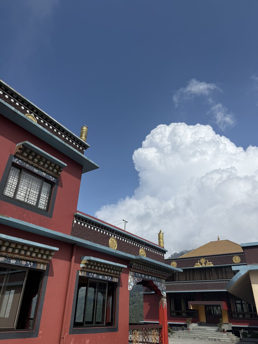 zoununga's tweet photo. Kalimpong is a beaut pt 1 https://t.co/Go35HDLuYs