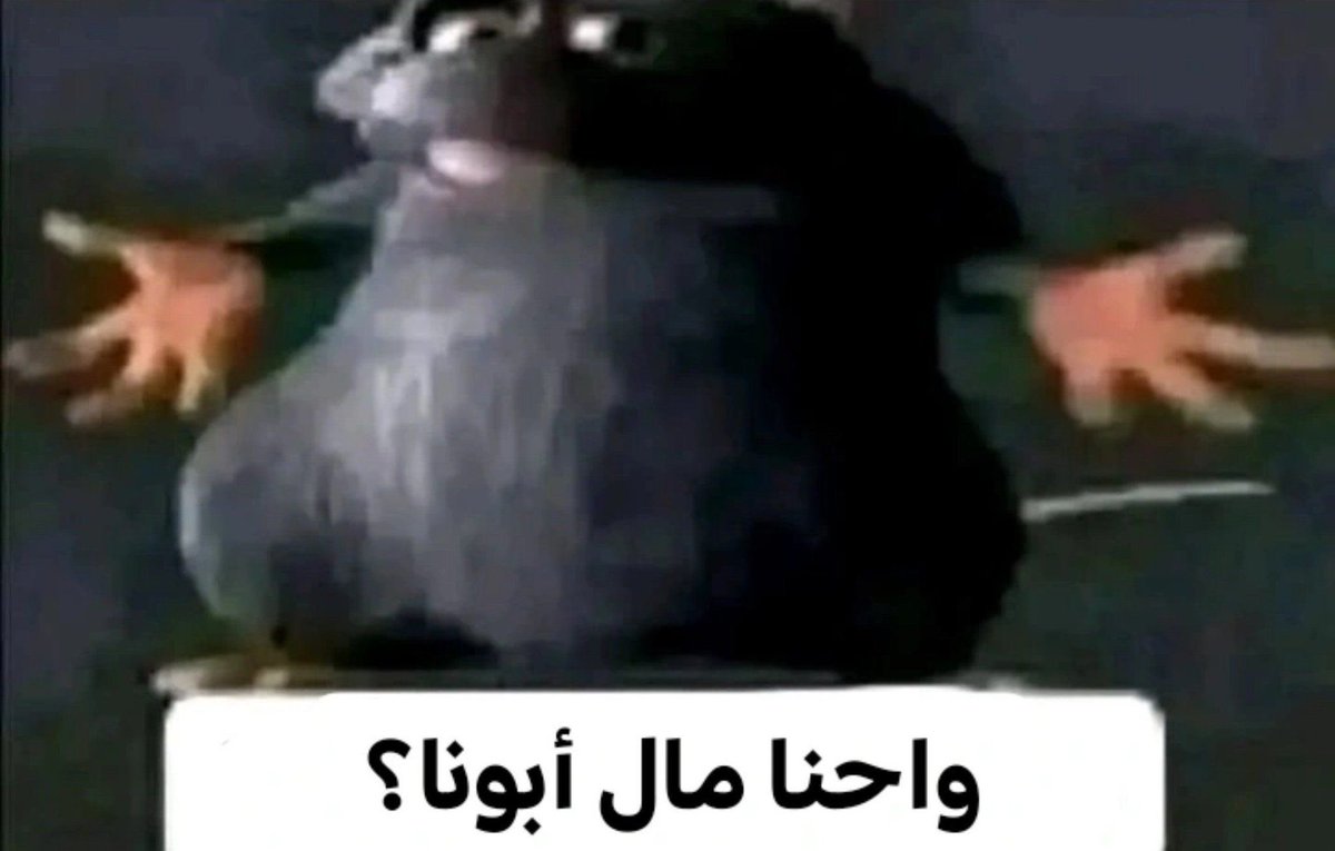 kzlen7's tweet photo. متختارش https://t.co/levNcVLff4