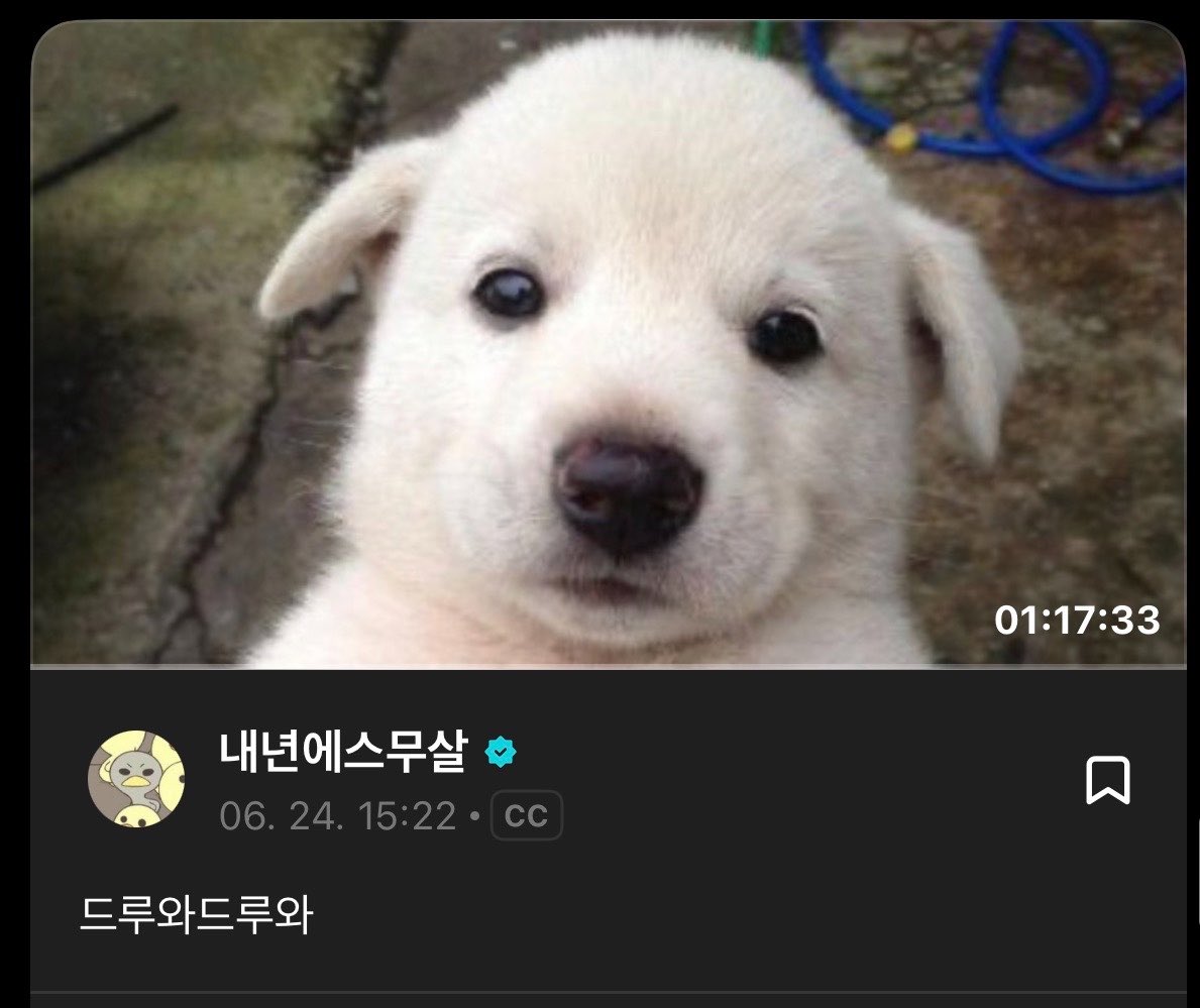 S2pitapat's tweet photo. 라방 썸넬 다 자기들 같은 것만 갖구와 https://t.co/bj7Hvvh3Py