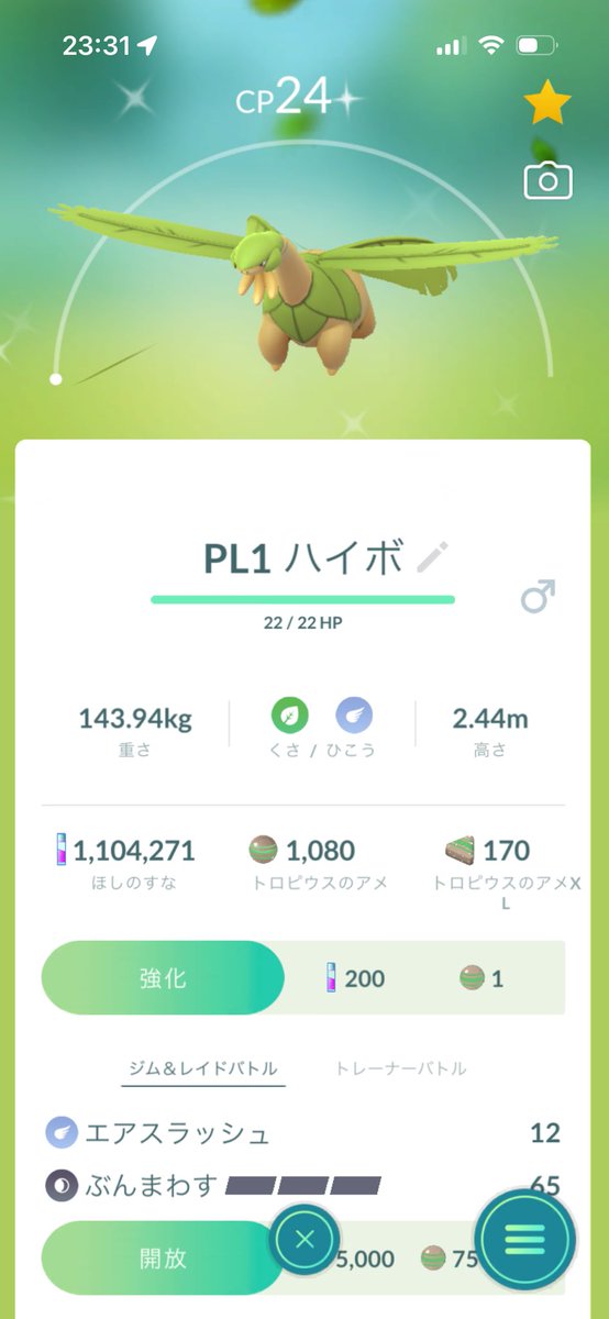 AXIfqa's tweet photo. PL1ハイパーボール入り色違いトロピウス欲しい方いますか？ #ポケモンGO #ポケモンGO交換 #ポケモンGO交換募集 #ポケモンGO交換募集中 #ポケモンGO #交換 #ポケモン交換 #リモート交換 https://t.co/5uWoc4rRAE