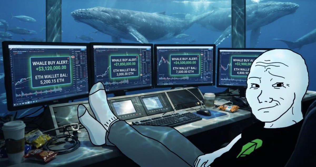 defnotwojak's tweet photo. Introducing: Robinhood Whale Tracker

In continuous efforts to progress the Robinhood Chain ecosystem, we went ahead and built a Telegram bot that actively tracks whale wallets, smart money, and KOL buys. 

🧵 https://t.co/eNvVXnRtdB