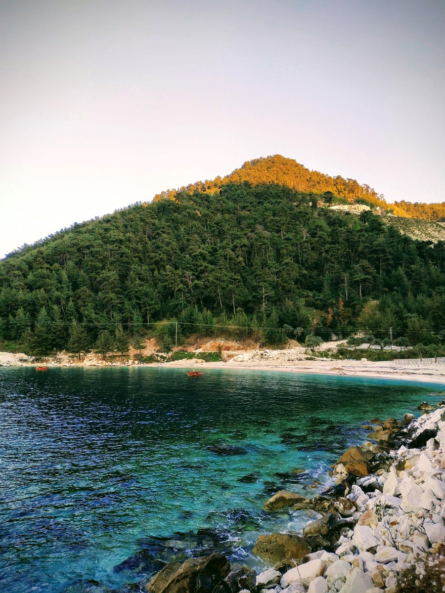 tsoupras's tweet photo. Thallasa 🌊💧⛱️🐚🐬
#Thassos https://t.co/RBWb1OAK9y