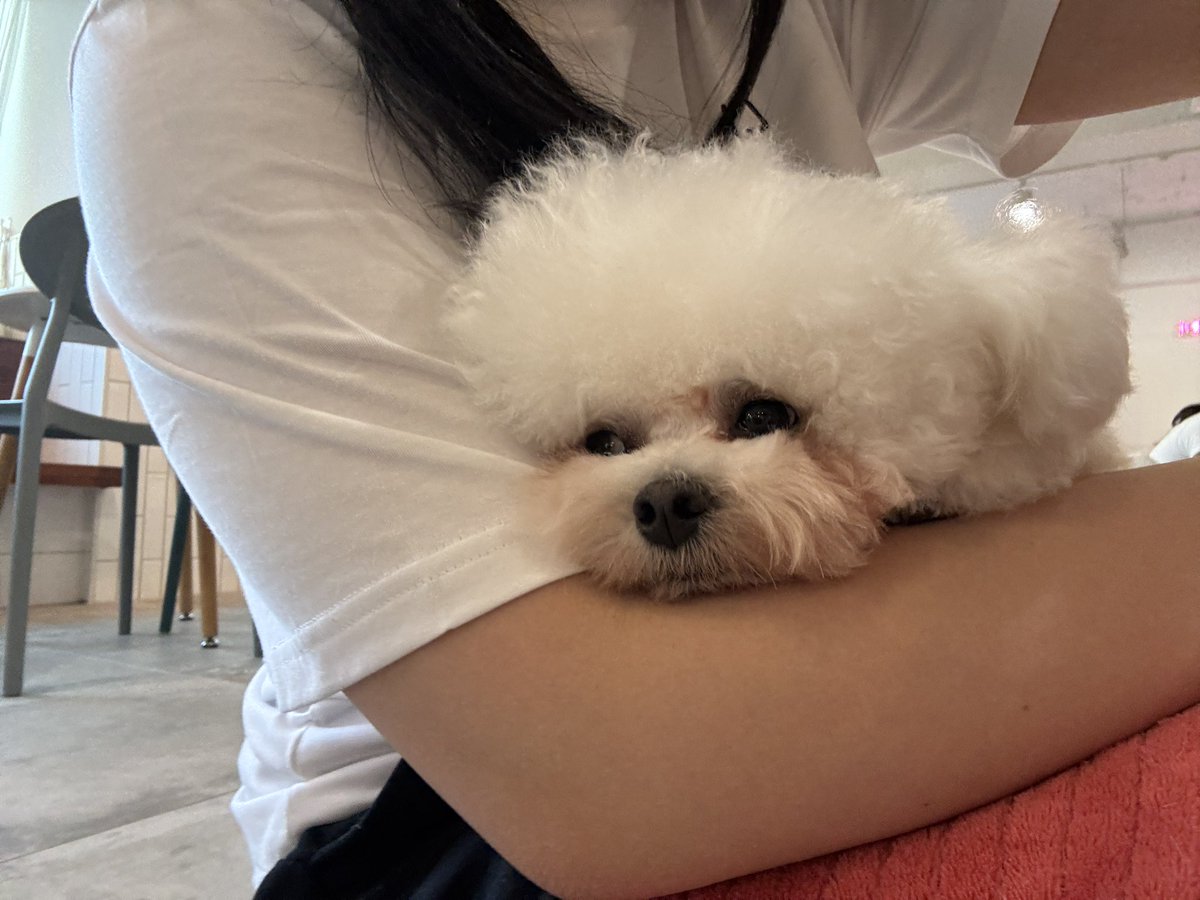 t8912117's tweet photo. 춘천 지금 만나서 놀사람
#섹트 #춘천 #디엠 #전화 #명동 #맞담 #건오 #스위치 #멜돔 #펨섭 #드라이브 https://t.co/nmH2mJcpe4