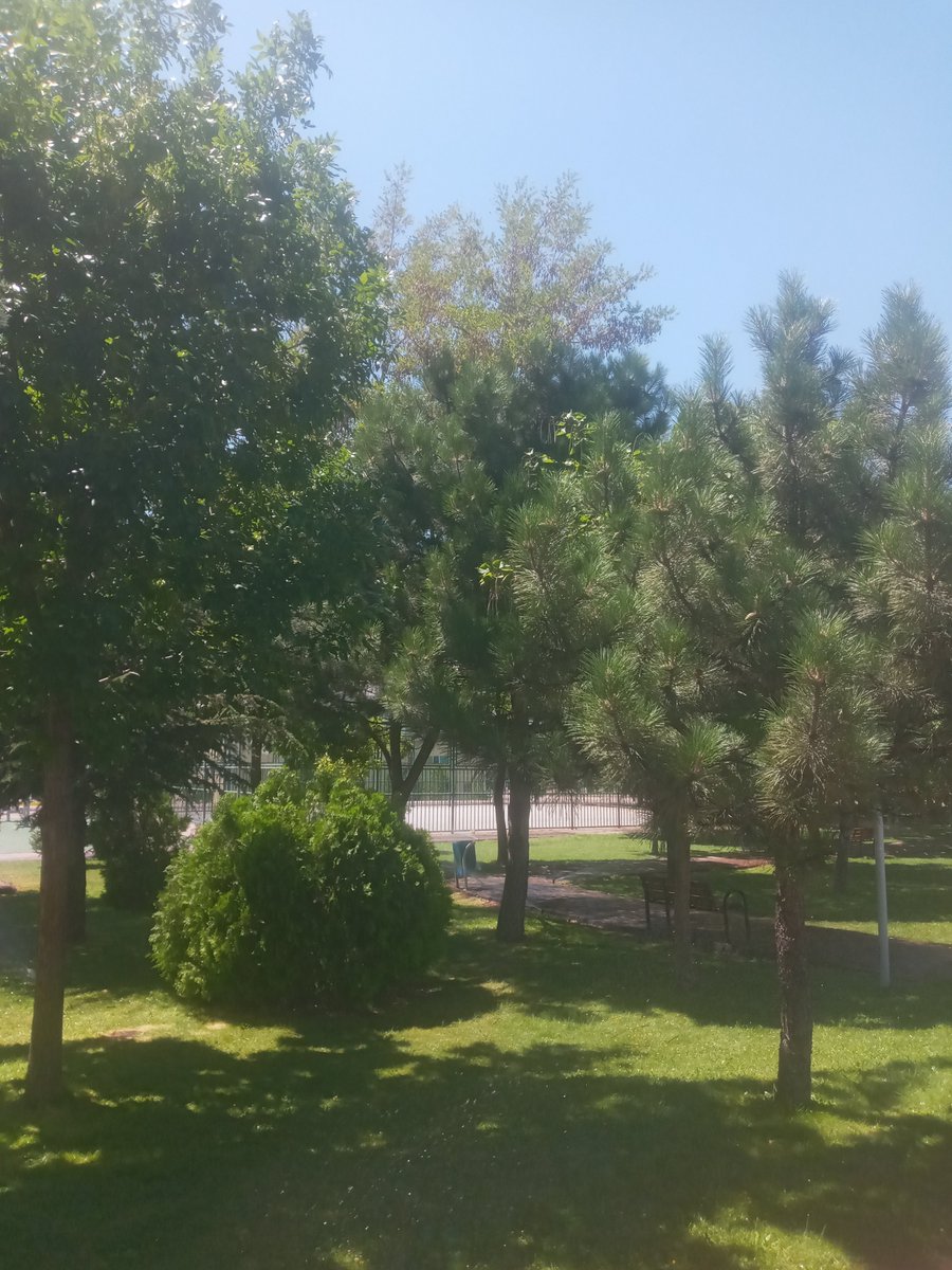 shatha_obeid's tweet photo. Çok sessiz ama kayseri=yervar=whtp #kayseriesc #kayseribayan https://t.co/o9B0QicSvC