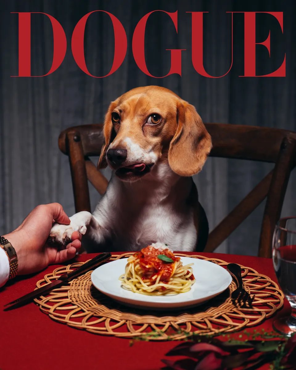 PopCrave's tweet photo. Bad Bunny’s dog Sansa graces the cover of Dogue. https://t.co/gwtvnwXwKh