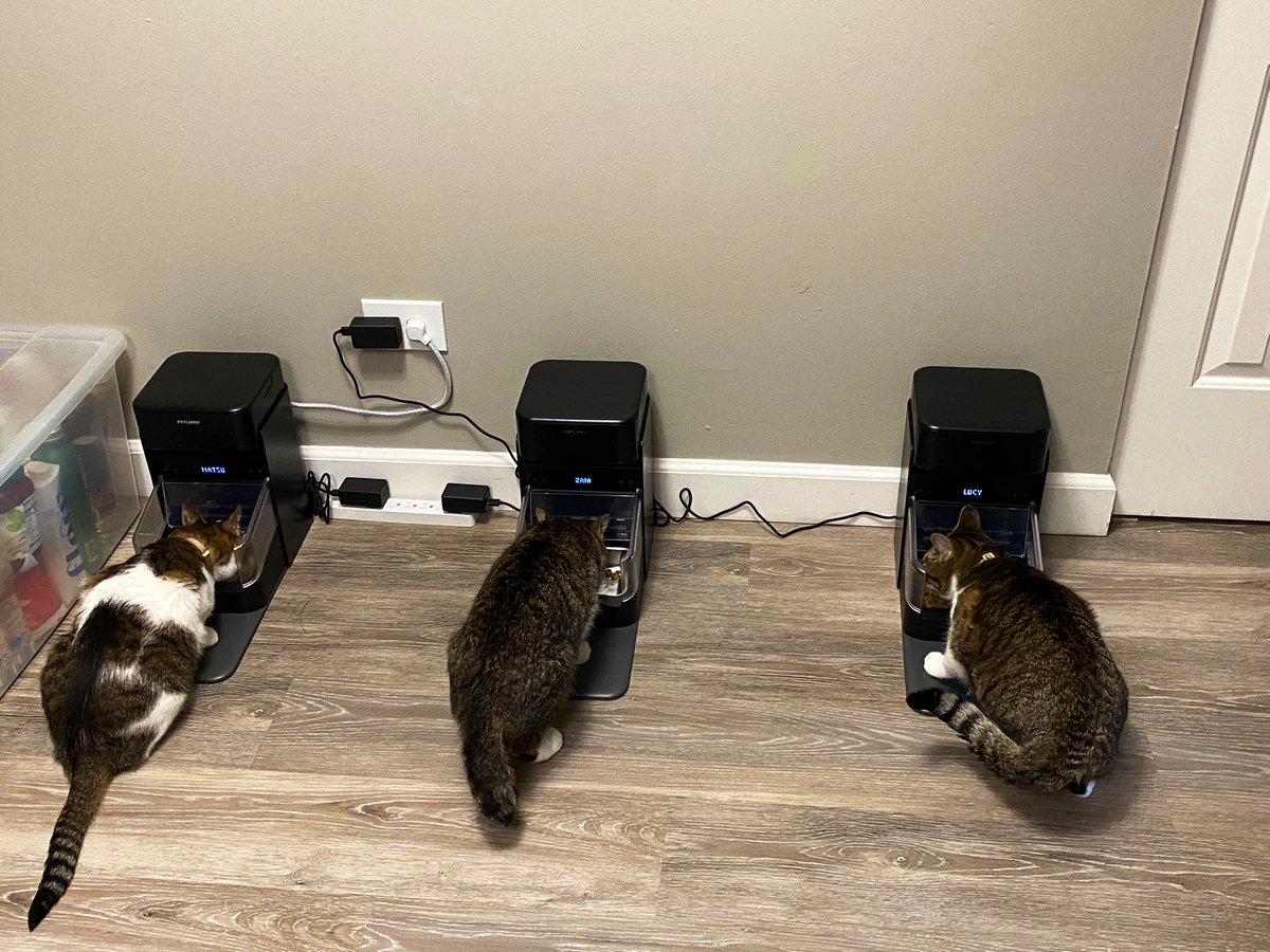 yoomgwi's tweet photo. Y’all Lucy is officially overweight (the vet said so) from stealing Natsu’s food so I dropped some hard-earned money on RFID feeders https://t.co/jwFVWQFvGg