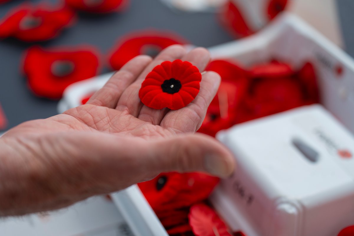 RoyalCdnLegion's tweet photo. Beginning in 2026, The Royal Canadian Legion’s National Poppy Campaign will take place annually from October 24 to November 11.

The standardized campaign period will give more Canadians the opportunity to wear a Poppy, provide more time to raise funds in support of Veterans and their families, and make it easier for businesses, schools and community organizations to plan their participation.

Our campaign is powered by volunteers—and every contribution matters. Legion members: Please consider volunteering. Whether you can fill a short shift, deliver or collect Poppy boxes, or help at a campaign location, your time will make a meaningful difference. Contact your branch to learn more https://t.co/YSVFP5pdCG

Not yet a member? Join your local Legion Branch and help carry forward one of Canada’s most important traditions. https://t.co/jvovdqGGSZ

Businesses and community organizations: If you would like to participate in this year’s campaign, please contact your local Legion Branch to learn how you can help. https://t.co/YSVFP5pdCG

Please mark October 24 to November 11 on your calendar. Together, we can honour Canada’s Veterans, support their families and ensure the Poppy remains a powerful symbol of Remembrance.