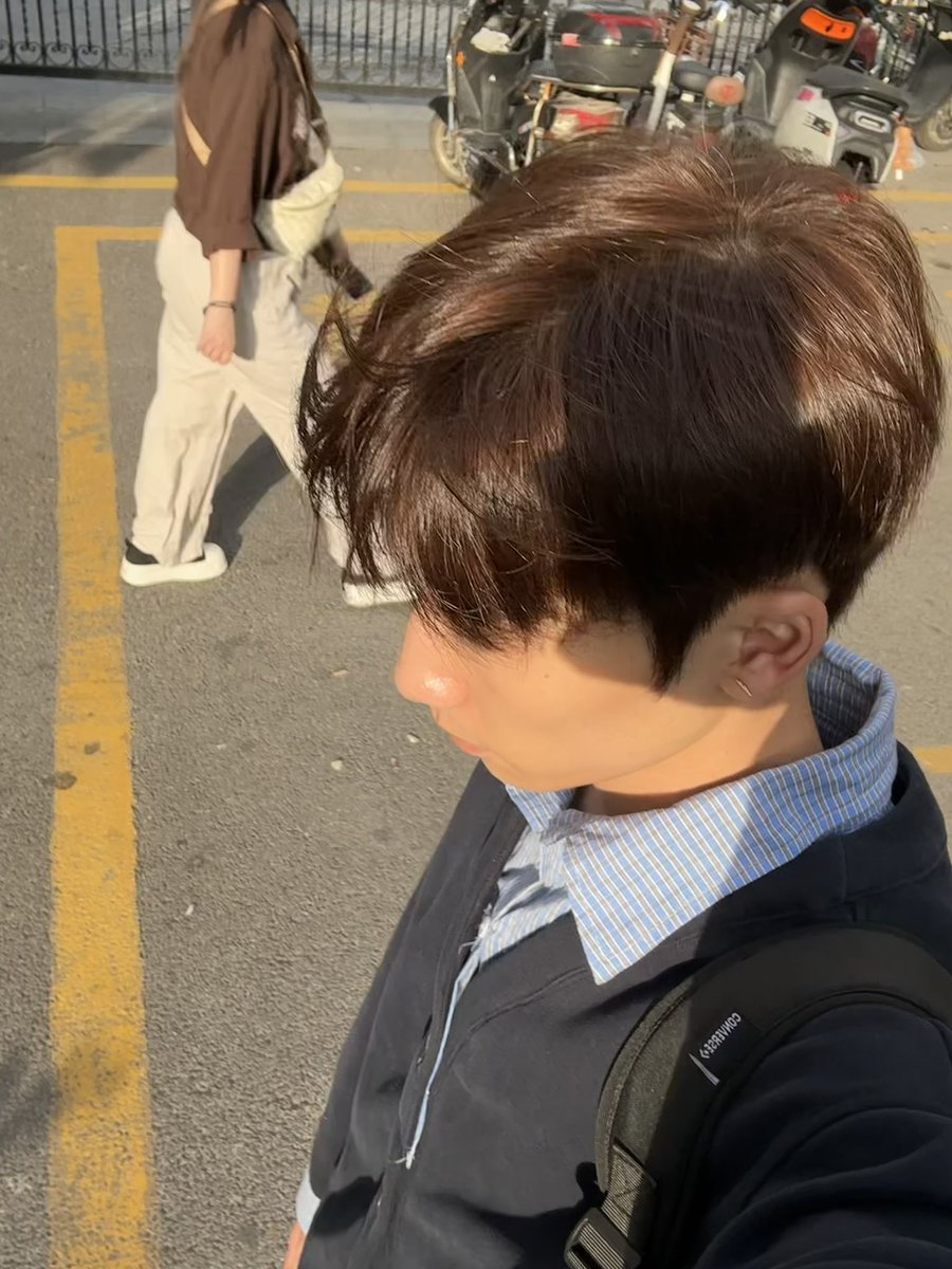 limmzi's tweet photo. 变黄毛小狗了 https://t.co/HBgSifErhH