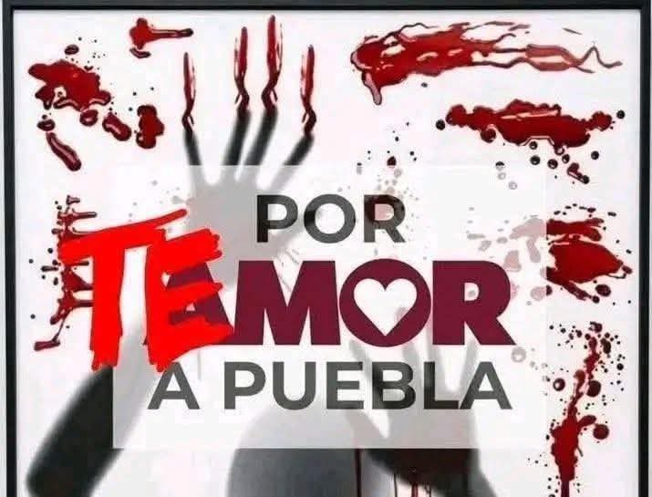 GabsRoju's tweet photo. @periodistasoy Pero que tal todo el tiradero de dinero en campañas anticipadas de sus put0nas del bienestar el CableBus no mejorará en nada la movilidad, queremos que le den mantenimiento al sistema RUTA
#Armentiras
#MorenaDestruyendoPuebla
#SeguridadSICableBusNo https://t.co/q9ZhtfaZqA
