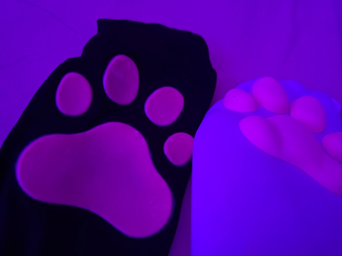 janeisafootslut's tweet photo. I added new black paw socks after that thing arrived help a girl out 😭😭😭#feet #paws #pawsocks #pawsock #feetpaws #footpaws #footbeans https://t.co/mwzxXnOyou