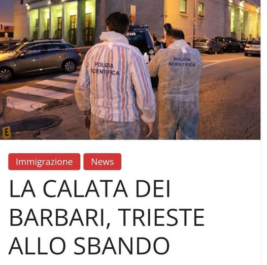 RobertoAvventu2's tweet photo. POVERA TRIESTE - POVERI CITTADINI
Potevamo passeggiare sereni/e fino a ora tarda.
Mandare le ns. figlie/i in giro senza patemi d'animo.
Vivere tranquillamente nel nostro condominio.
Goderci la nostra villetta in periferia.
Potevamo parcheggiare tranquillamente, senza  la paura di veder la nostra auto o vespa, aperta, danneggiata o data a fuoco.
Lasciare l'oro e qualche soldo a casa.
Non avevano paura di lasciare l'appartamento.
Potevano lasciare in auto o furgone le nostre cose.
Non avevamo paura che i nostri anziani fossero truffati o derubati.
Arrivavamo a Trieste in treno e quando uscivano vedevamo la statua di Sissi e la sua bella piazza.
Poi è arrivato lui, Schiavone e
lei Fornasir protetti da politici di Sinistra e politucoli di destra
Poi arriva la Chiesa a partecipare al business.
Con le cooperative a farsi i soldi sulla pelle nostra.
Con Afgani e Pakistani che hanno aumentato e diviso la piazza dello spaccio.
Con clandestini che ogni 15 giorni si accoltellano nella Piazza che ci è stata rubata da una vecchia e i suoi cocchi di mamma.
Con i minori stranieri  che stanno devastando la nostra città.
Ed una Procura dei Minori chiaramente pro accoglienza a qualsiasi costo.
Un Tribunale a favore del business immigrazione con sentenze sfacciatamente contro il volere popolare.
Povera mia Trieste, povera mia città, poveri i miei concittadini.
Lasciati soli da questi politici,autorità, giornali e TV, a fiancheggiare questi cialtroni, solo per i propri interessi, a spartirsi, la ricca torta dei milioni incontrollati, provenienti dalle nostre tasse.
Chissà che presto non veniate scavalcati dalla rabbia popolare.
A presto...