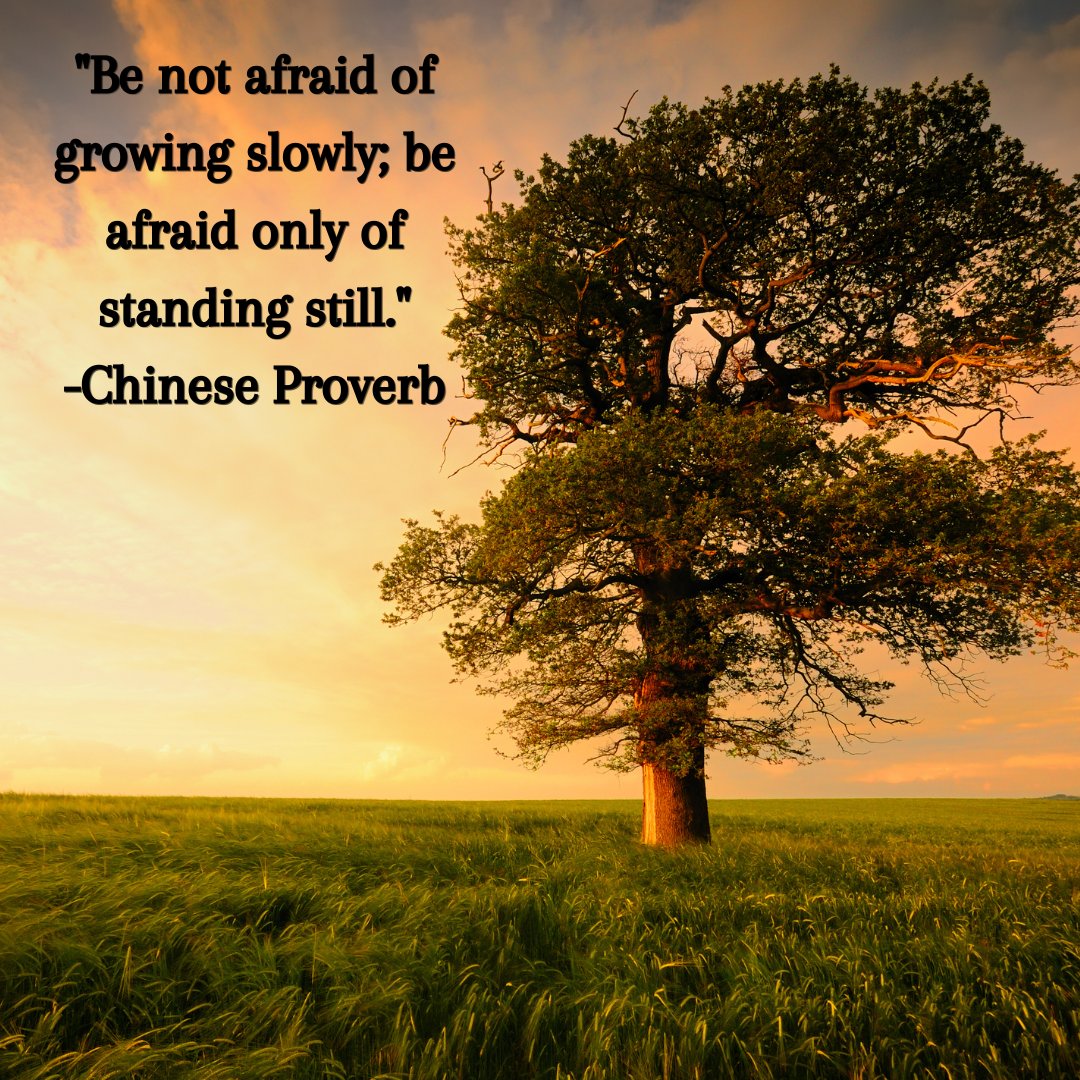 Goldentimes_1's tweet photo. "Be not afraid of growing slowly; be afraid only of standing still." - Chinese Proverb #Resistance #Growth #Iwillnotbeafraid #Move #OneStepAtATime #QOTD https://t.co/3NLt8emsU5