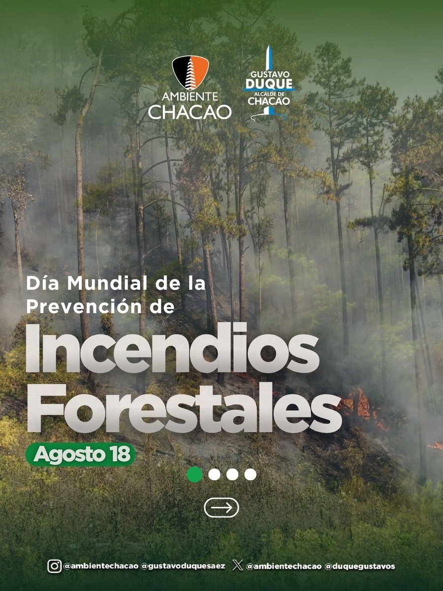 AmbienteChacao's tweet photo. En el Día Mundial contra los incendios forestales ante los cambios por fenómenos climáticos, debemos tomar medidas: No arrojar colillas, podar la maleza, no dejar basura en la naturaleza, controlar la quema inescrupulosa en áreas verdes. ¡Cuida el medioambiente!
 @duquegustavoS https://t.co/3yhU6CoNM7