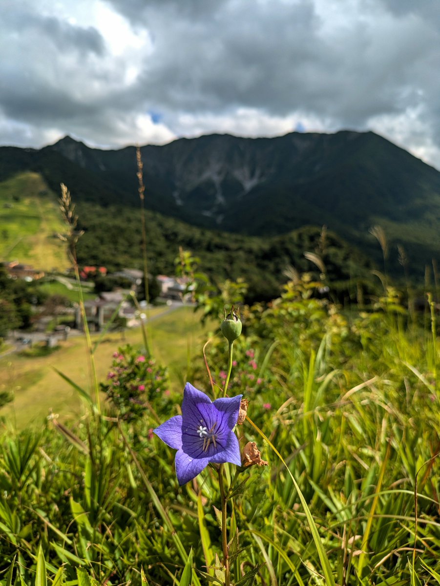 philosophy072's tweet photo. 昨日は天気が良かったので豪円山のろし台へ。
登ると北壁が影に入ってしまい残念。
帰りに阿弥陀川へ寄り涼んできました。 https://t.co/8uUiDOJGsb