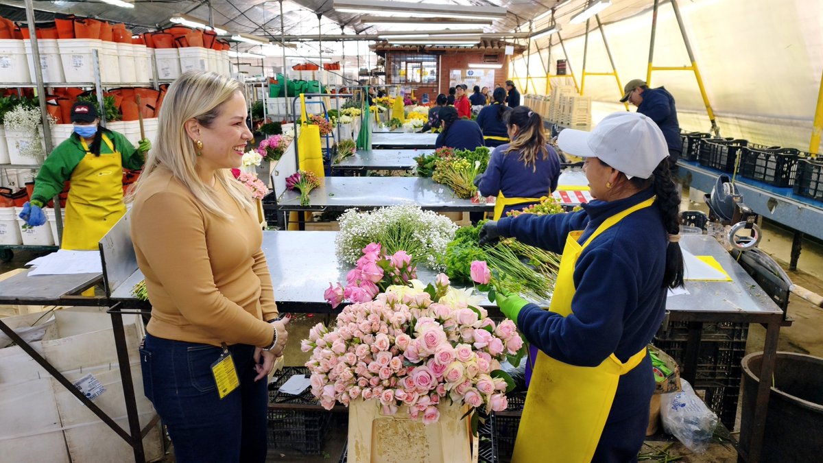 SRIoficialEc's tweet photo. Ecuador produce, genera empleo y lleva su calidad al mundo.

Nuestra directora general @AlexaNavarreteR visitó Esmeralda Farms para conocer de cerca su actividad florícola y dialogar sobre los desafíos y oportunidades de un sector que conecta al país con mercados internacionales. https://t.co/5Z0Rp0I3N4