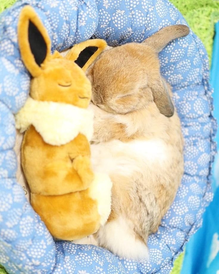 Snailington_'s tweet photo. I wish pokemon were realll so many cute little babies 😢 https://t.co/lSv5kZmCi7