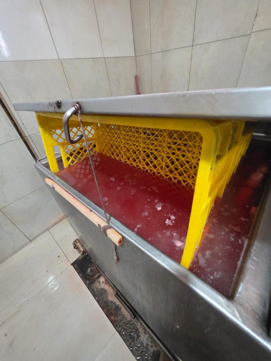 Arcsa_Ec's tweet photo. Clausuramos una fábrica clandestina de embutidos en el sector de Monte Sinaí, en #Guayaquil, debido a graves irregularidades sanitarias, como falta de higiene, mala manipulación de alimentos y presencia de plagas.

Boletín en ➡️ https://t.co/lS6kvXKQoI 👈🏽

#ArcsaControla ✅ https://t.co/WcHoARs1Ns