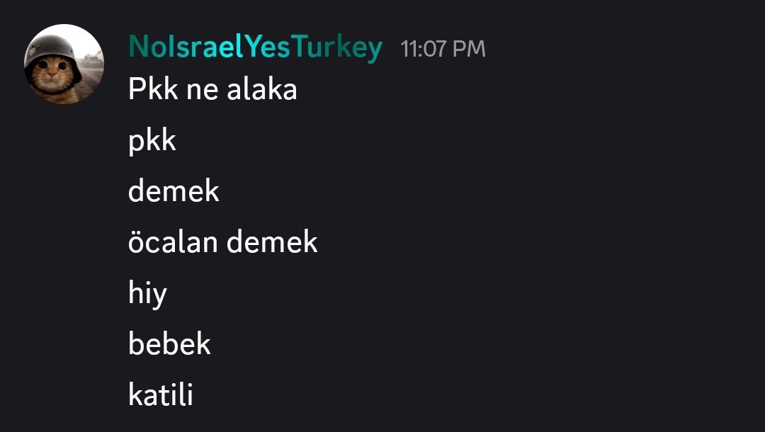 NeseOSNews's tweet photo. The dzwqsk discord user was harassing to Israel. We decide to leak their DIscord user IDs and proofs.
Discord user IDs:
1453423837214408875

Proof (in these images)

We recommend that harass these users

#NeseOS #Microsoft #Discord #Israel #NOPALESTINE #Azerbaijan! https://t.co/cZqKtUpSEA