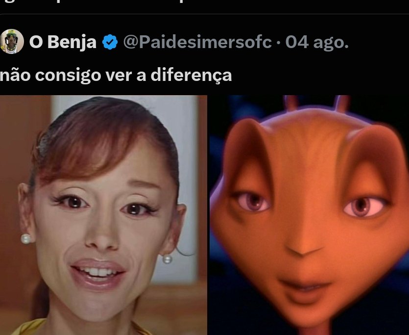 ofnordest's tweet photo. @joshual6ms @fecozta mas ela é, claramente é caridade pra a outra não sumir de disforia achando que não ganhou pq tá gorda https://t.co/l4Bls9LzOP