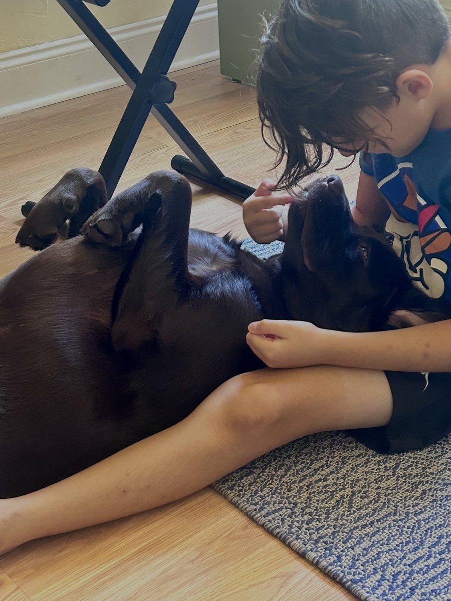 chocolatelabtx's tweet photo. Every dog needs a boy ❤️ these two are so bonded. #chocolatelab https://t.co/zgNF7ucyGw