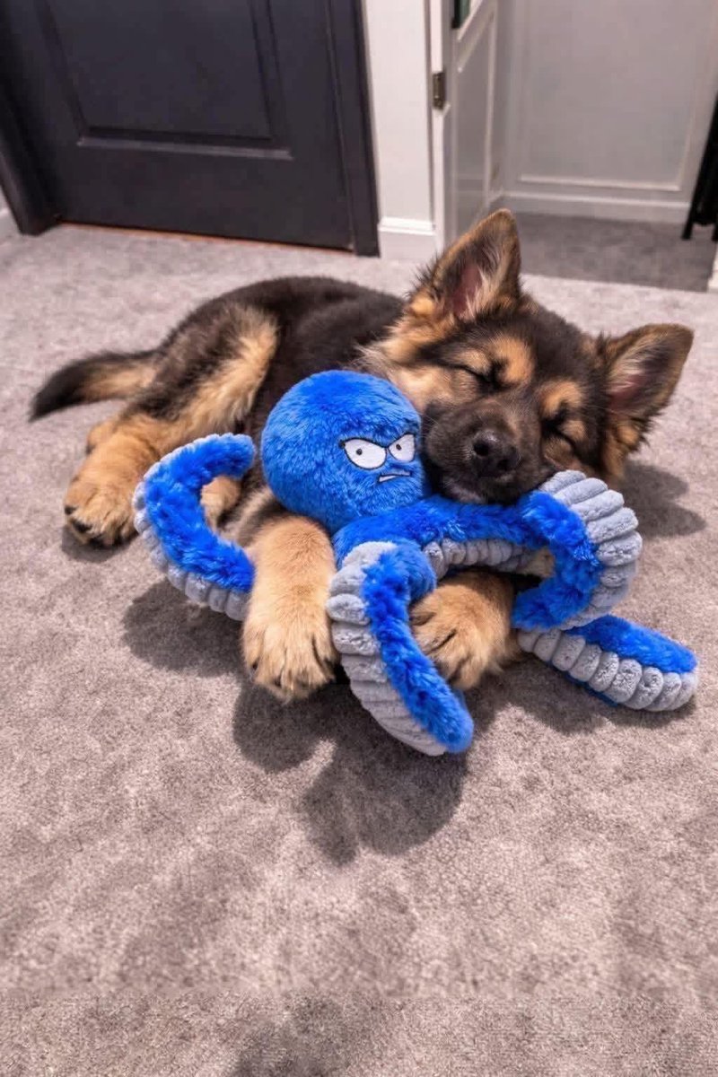 gsdheart's tweet photo. I love this octopus toy https://t.co/D0hTyHB4Ox
