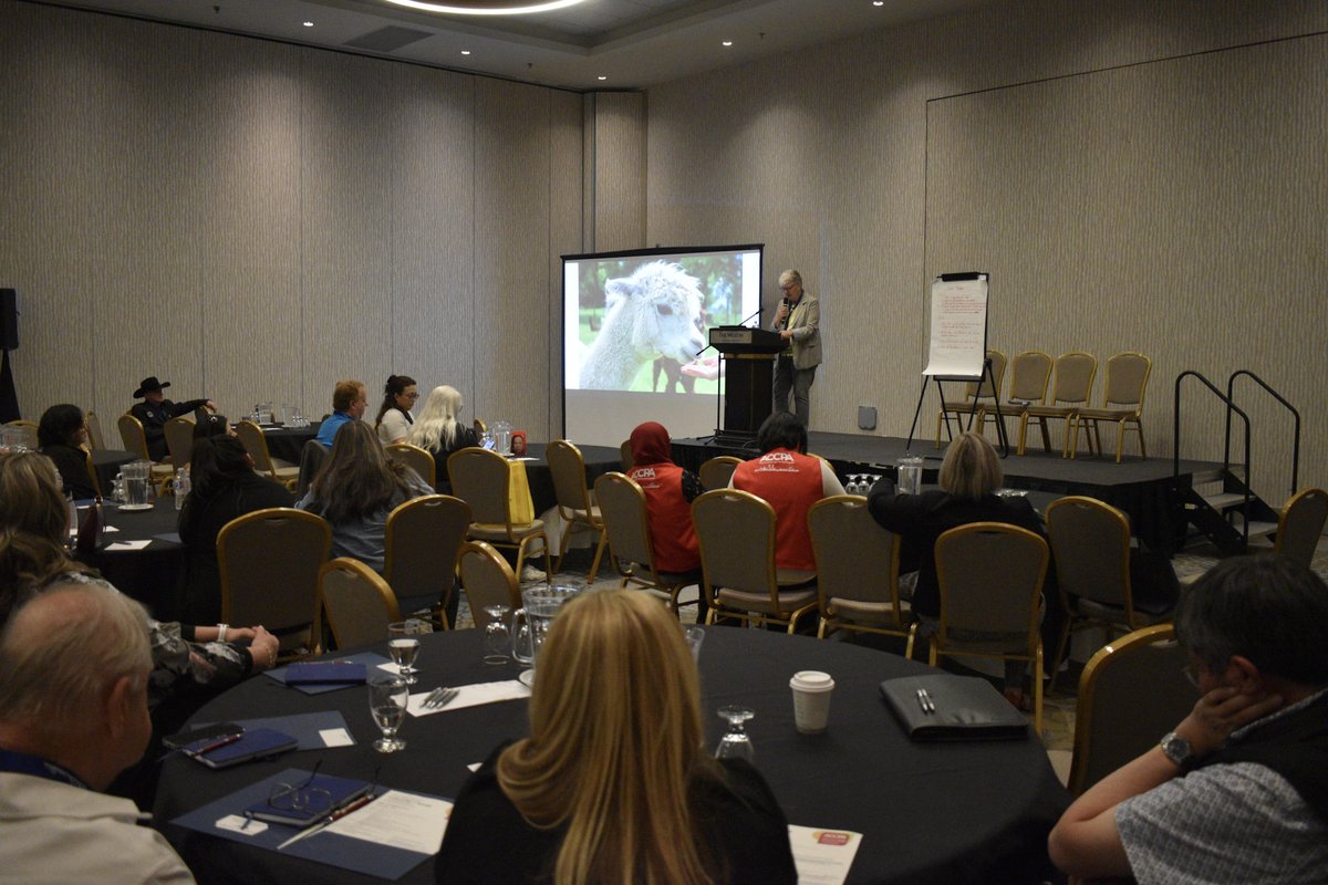 ABcrimeprevent's tweet photo. #ACCPACONFERENCE2026 RECAP: RESTORATIVE JUSTICE

“Beyond the Gavel: Restorative Justice in Everyday Life”

PRESENTER: Agnes Struik https://t.co/51HdCRqWkk