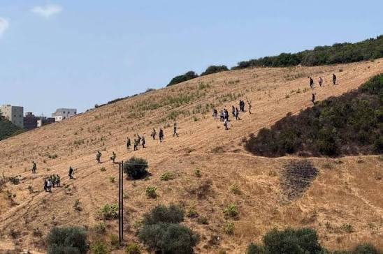 BasilTheGreat's tweet photo. 🚨BREAKING: Spanish Police in Ceuta have reported that African migrants are kidnapping young girls and dragging them into the mountains to be gang raped

Absolutely horrifying https://t.co/FITEwUPUvb