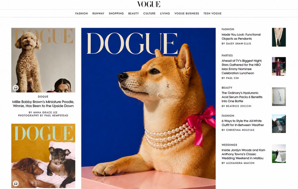 doguemilan's tweet photo. Front and center on https://t.co/GxDIIk7AQp... Right where I belong! 🍾 https://t.co/xADBWgVwOE