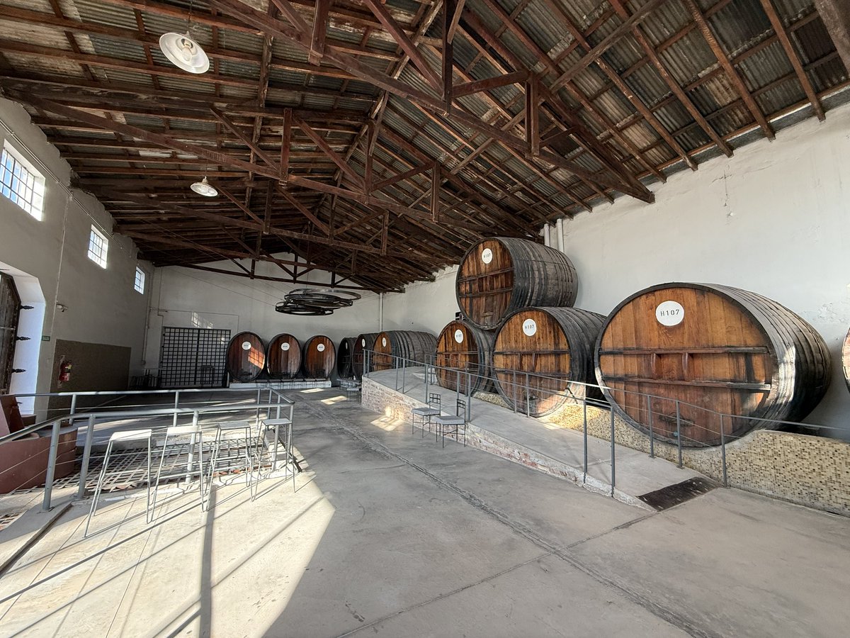 GabrielLopez_OK's tweet photo. 🍇🍷 𝗛𝗶𝘀𝘁𝗼𝗿𝗶𝗮, 𝗶𝗱𝗲𝗻𝘁𝗶𝗱𝗮𝗱 𝘆 𝗳𝘂𝘁𝘂𝗿𝗼 𝗲𝗻 𝗠𝗮𝗶𝗽𝘂́

Visitamos Sur Huenten , un espacio que recupera parte de nuestra historia vitivinícola y la transforma en una propuesta que combina vinos, gastronomía y turismo.🌄❤️

#JuntoAVos https://t.co/HygcCbJanZ