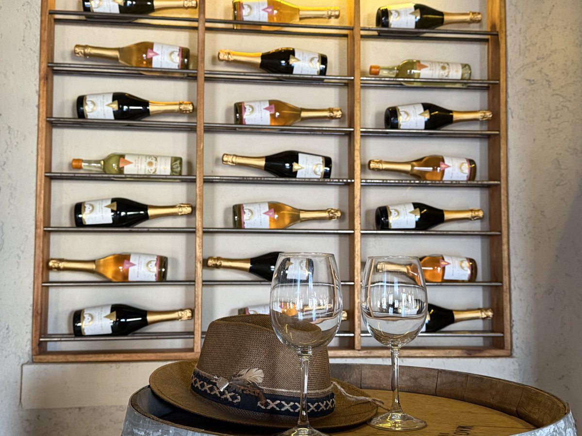 GabrielLopez_OK's tweet photo. 🍇🍷 𝗛𝗶𝘀𝘁𝗼𝗿𝗶𝗮, 𝗶𝗱𝗲𝗻𝘁𝗶𝗱𝗮𝗱 𝘆 𝗳𝘂𝘁𝘂𝗿𝗼 𝗲𝗻 𝗠𝗮𝗶𝗽𝘂́

Visitamos Sur Huenten , un espacio que recupera parte de nuestra historia vitivinícola y la transforma en una propuesta que combina vinos, gastronomía y turismo.🌄❤️

#JuntoAVos https://t.co/HygcCbJanZ
