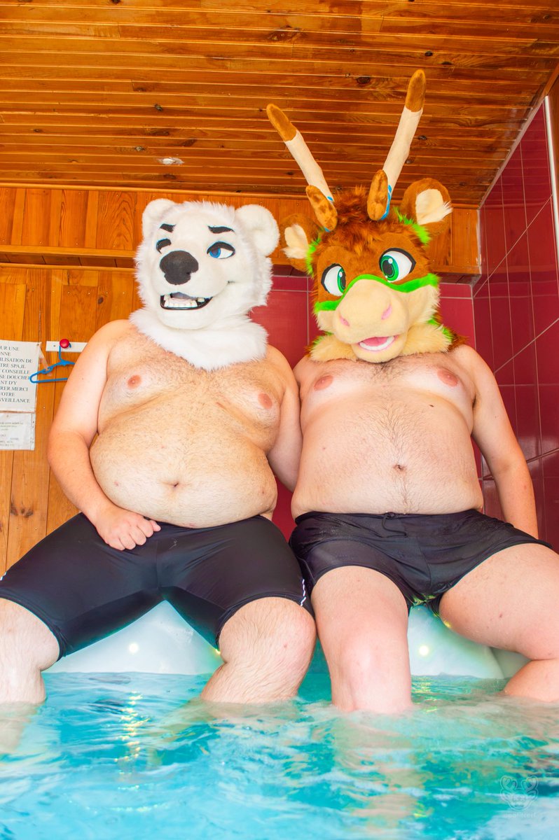 Tiro_thepolar's tweet photo. And after the pool, why not join me and @AurwooCariboo in the jacuzzi for the #TummyTuesday ? 🛁

📸 @PotitCerf https://t.co/ZzF7b2D5Ul