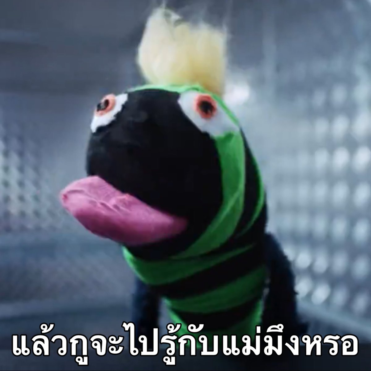 poo9932's tweet photo. https://t.co/h77UiPasBc
