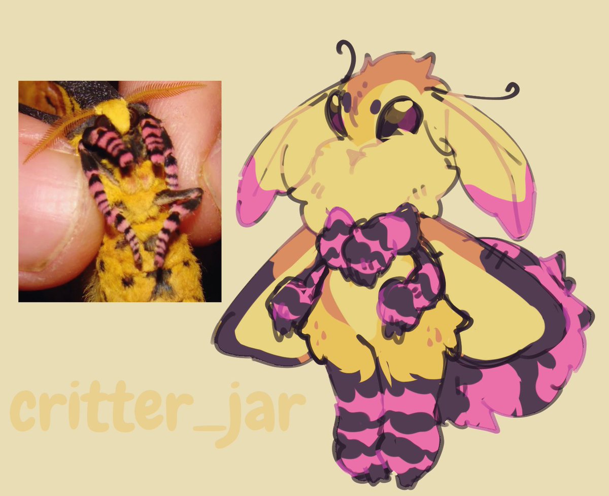 c4ts2mars's tweet photo. @Liver262280 I DIDN'T SEE THIS TIL NOW THIS IS SO CUTE! She's supposed to resemble an Oberthur's Silkmoth I'm really happy to see fanart of her! 💜 https://t.co/7xlEEdtzjL