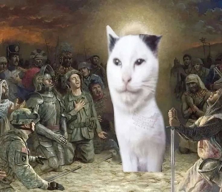 spookdoko's tweet photo. @LordFartSquat Forgive me mother https://t.co/KQ1p65qzKg