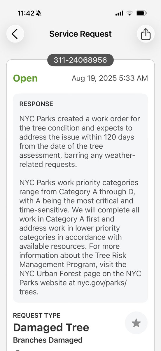 XMoond007's tweet photo. @nycgov @NYCParks @NYCMayorsOffice @NYCMayor  it’s been a year and tree parts are still falling. Well at least none of the toddlers have been hit yet https://t.co/iivacXzRWY