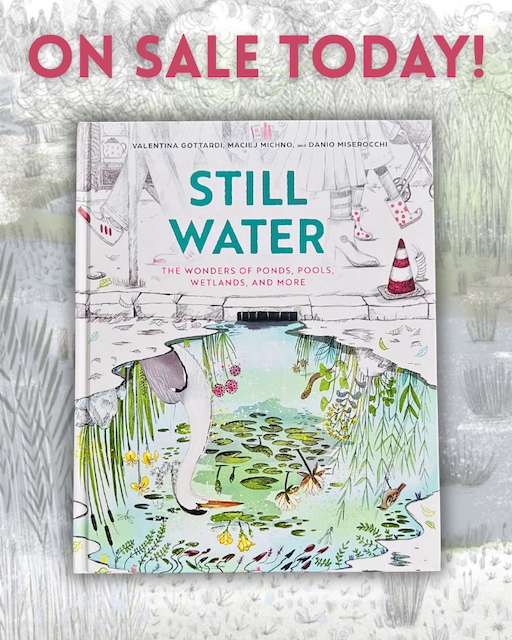 ebyrbooks's tweet photo. 🎉 It's pub day for STILL WATER: The Wonders of Ponds, Pools, Wetlands, and More! 🎉  "Wetlands may not be flashy, but this book stokes respect and appreciation for these peaceful natural wonders."  
— @ALA_Booklist  

#STEAM #STEM #picturebooks #childrensbooks #nonfiction https://t.co/tgR9N26gs2