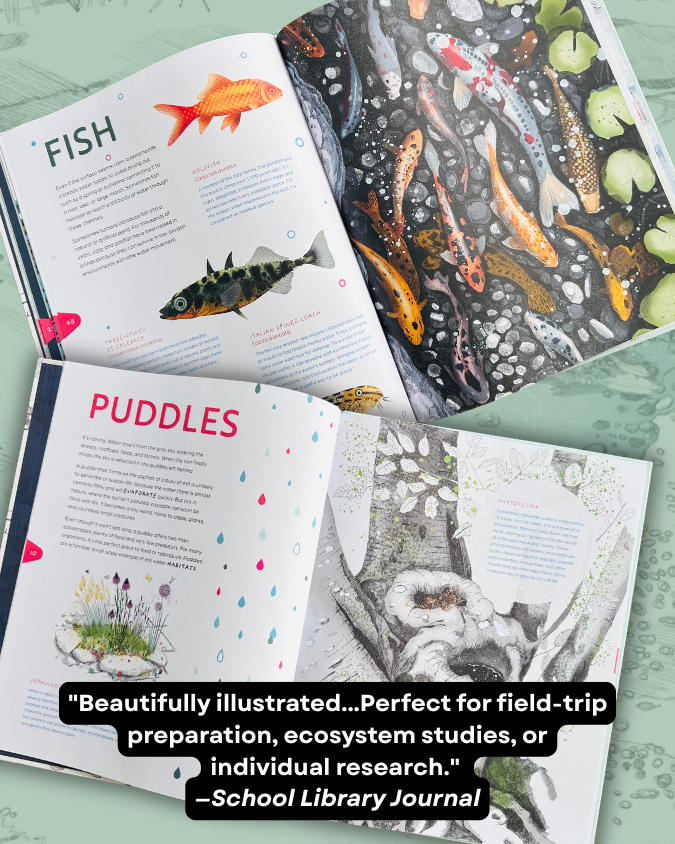 ebyrbooks's tweet photo. 🎉 It's pub day for STILL WATER: The Wonders of Ponds, Pools, Wetlands, and More! 🎉  "Wetlands may not be flashy, but this book stokes respect and appreciation for these peaceful natural wonders."  
— @ALA_Booklist  

#STEAM #STEM #picturebooks #childrensbooks #nonfiction https://t.co/tgR9N26gs2