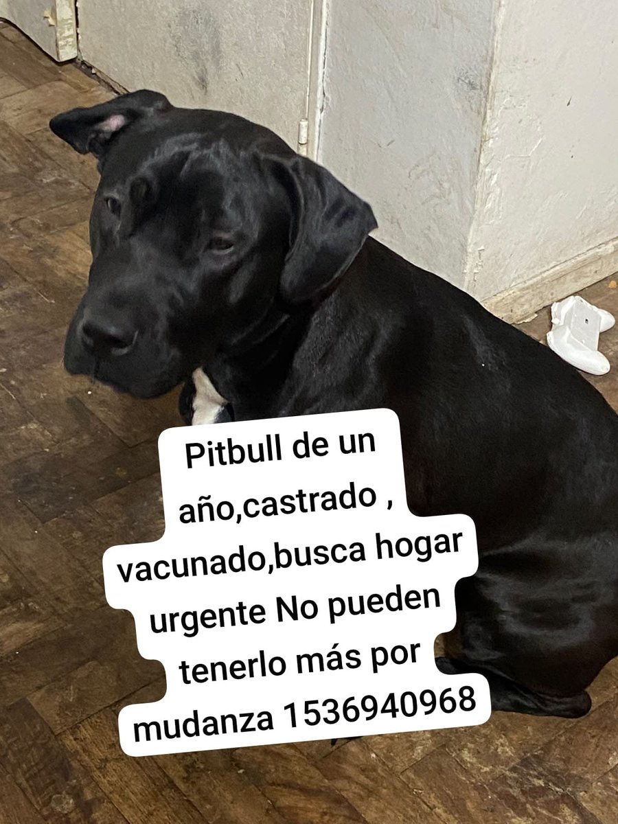 patripeyrou's tweet photo. Rt
Difundimos https://t.co/4wWHyVOS6l
