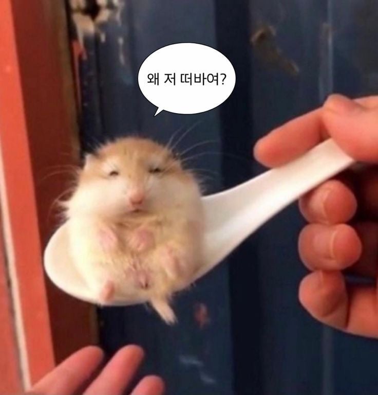 ji__duck's tweet photo. 깅니디 왜 저 떠봐요 할때마다 이짤생각나서 미칠거가틈 https://t.co/HtYOskacmb
