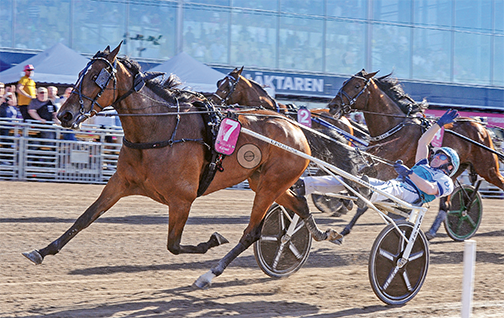 USTrotting's tweet photo. On May 31, Allegiant won the Elitlopp in 1:48 and became the world’s fastest trotter ever. #HoofBeats editor James Witherite explores the unconventional story behind the world champion mare in the magazine's August issue: https://t.co/qztks6YmUt https://t.co/VmKWtPwTun