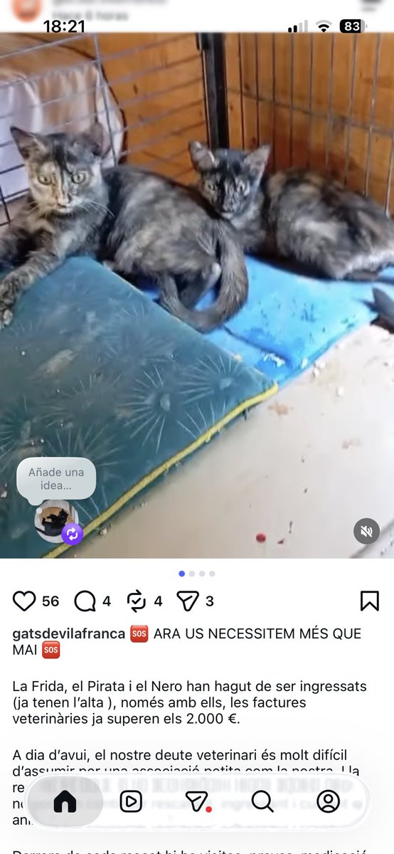 nesspendragon's tweet photo. En esta asociación lo están pasando muy mal… tienen casos que requieren muchas visitas al veterinario y empiezan a tener una deuda inasumible.
Tienen teaming (lo dejo en comentario).
1€, 2€… yo solo he podido ayudar con 5€ pero sé que TODO cuenta. https://t.co/O5rej5ujoW