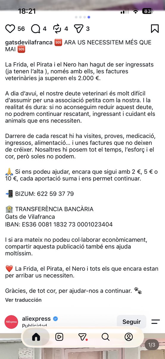 nesspendragon's tweet photo. En esta asociación lo están pasando muy mal… tienen casos que requieren muchas visitas al veterinario y empiezan a tener una deuda inasumible.
Tienen teaming (lo dejo en comentario).
1€, 2€… yo solo he podido ayudar con 5€ pero sé que TODO cuenta. https://t.co/O5rej5ujoW