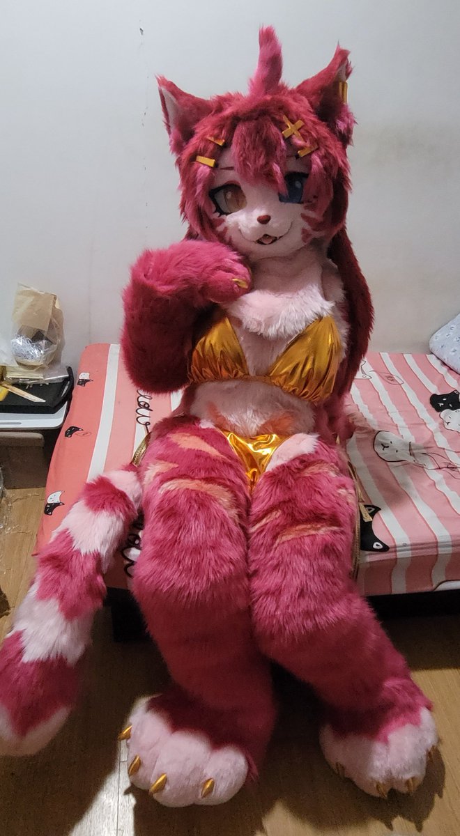 PPCAT_Fursuit's tweet photo. 第二造型✨✨ https://t.co/Gr288XZSzZ