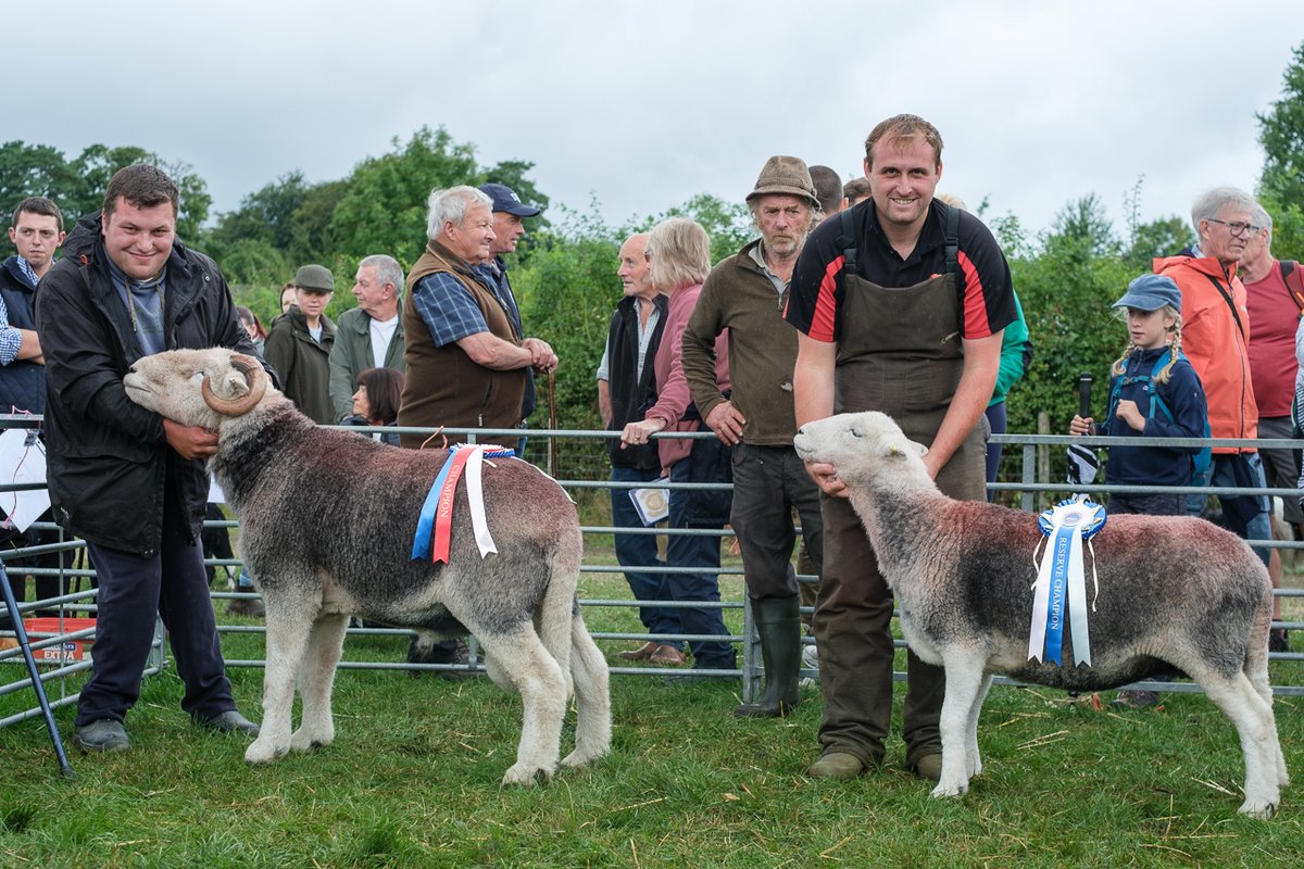 billplumtree's tweet photo. Congratulations to George Harryman, Herdwick champion at Hawkshead today with his shearling tup, and to Matthew Powell, reserve with his yow   Joint #SheepOfTheDay https://t.co/VVUDHAQ9kV
