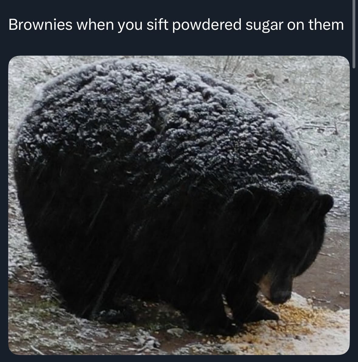 spicy_mochi's tweet photo. brownies when you sift powdered sugar on them https://t.co/UTexd4ZThW