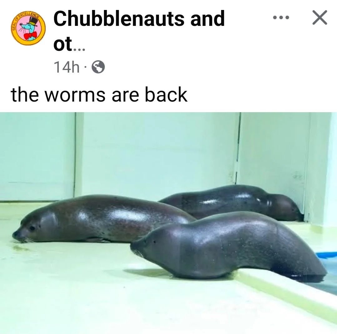 KrystalWolfyAlt's tweet photo. Worms https://t.co/2azYlwiSYk